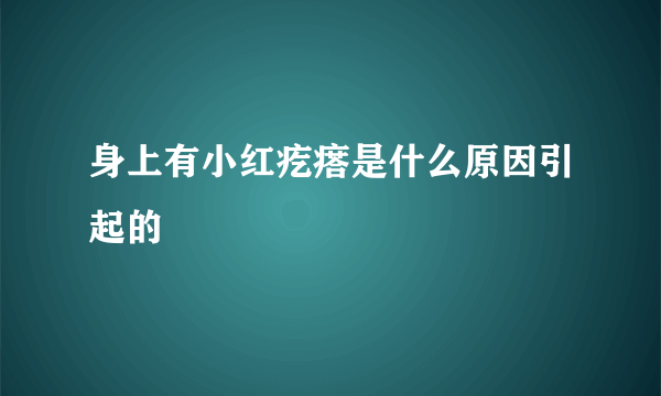 身上有小红疙瘩是什么原因引起的