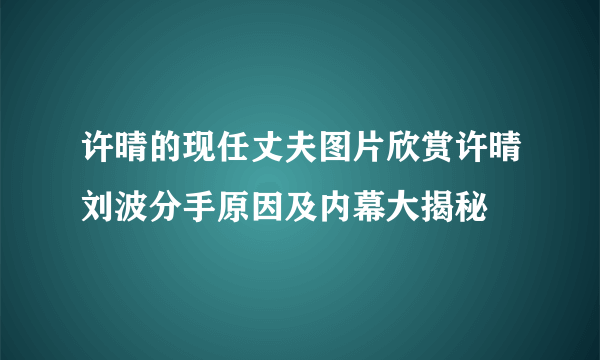 许晴的现任丈夫图片欣赏许晴刘波分手原因及内幕大揭秘