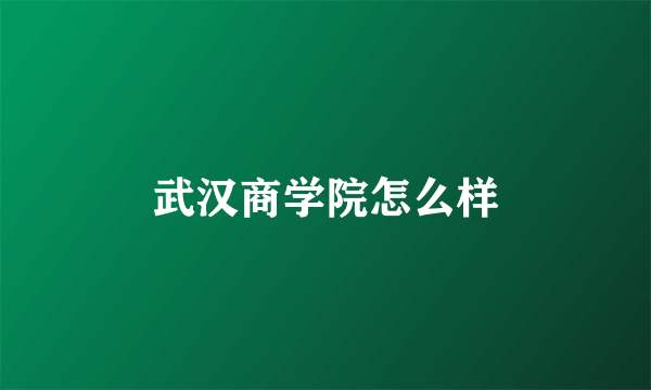 武汉商学院怎么样