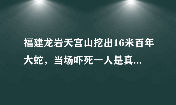 福建龙岩天宫山挖出16米百年大蛇，当场吓死一人是真的还是假的？