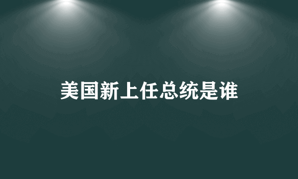 美国新上任总统是谁