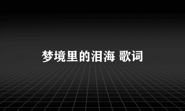 梦境里的泪海 歌词