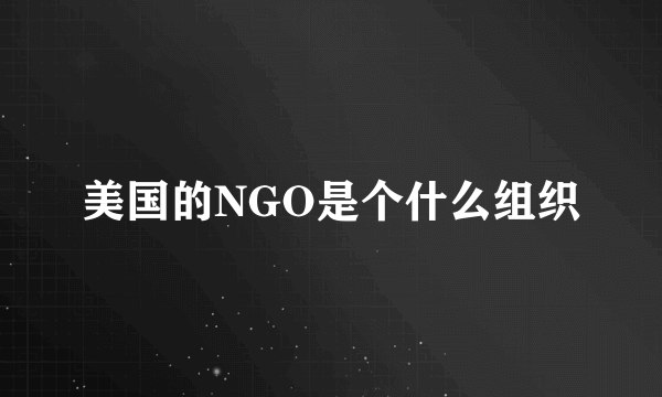 美国的NGO是个什么组织