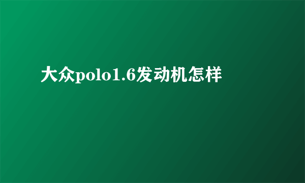 大众polo1.6发动机怎样