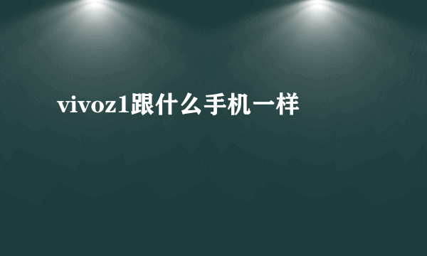 vivoz1跟什么手机一样