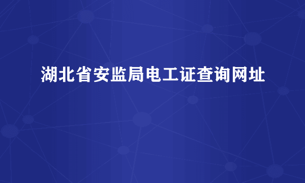 湖北省安监局电工证查询网址