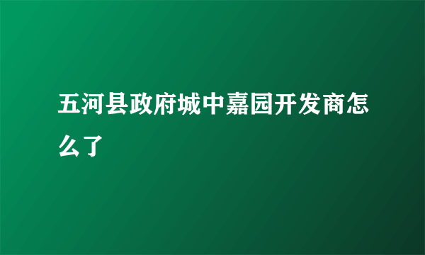 五河县政府城中嘉园开发商怎么了