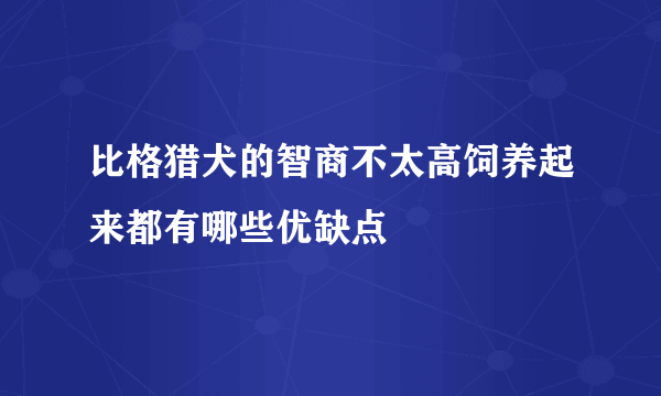 比格猎犬的智商不太高饲养起来都有哪些优缺点