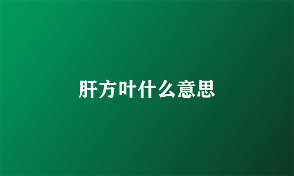 肝方叶什么意思