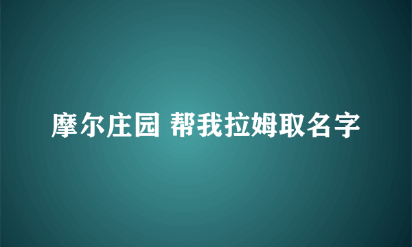 摩尔庄园 帮我拉姆取名字