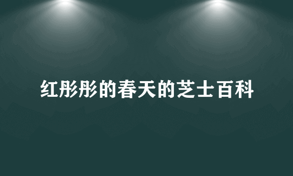 红彤彤的春天的芝士百科