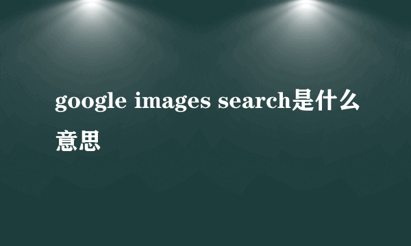 google images search是什么意思