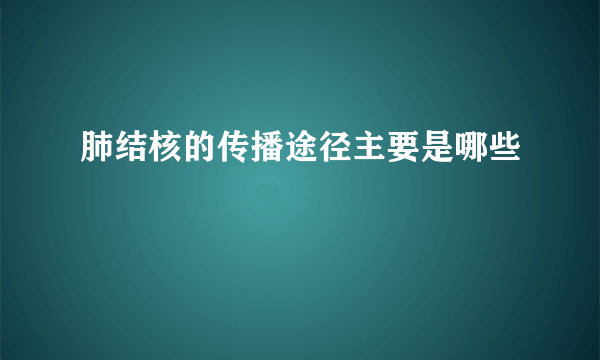 肺结核的传播途径主要是哪些