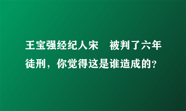 王宝强经纪人宋喆被判了六年徒刑，你觉得这是谁造成的？