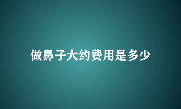 做鼻子大约费用是多少