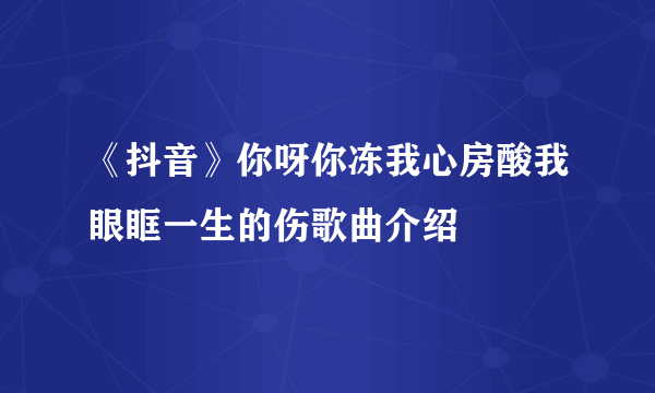 《抖音》你呀你冻我心房酸我眼眶一生的伤歌曲介绍