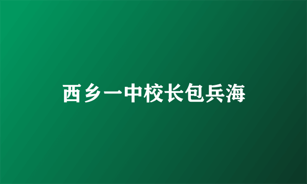 西乡一中校长包兵海