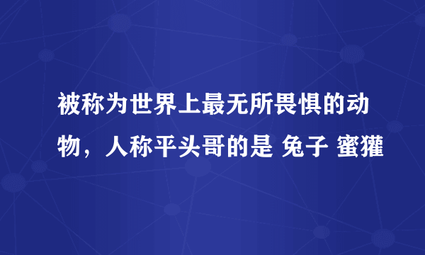 被称为世界上最无所畏惧的动物，人称平头哥的是 兔子 蜜獾