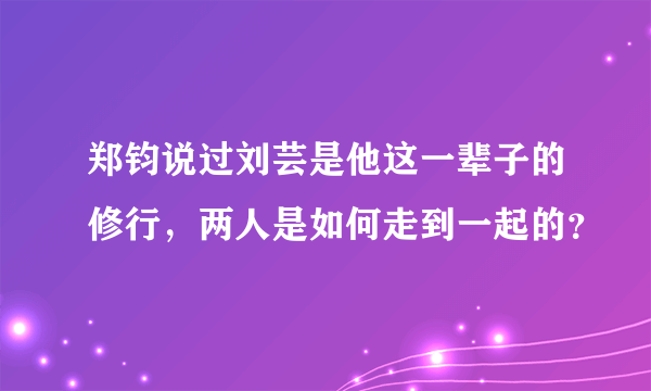 郑钧说过刘芸是他这一辈子的修行，两人是如何走到一起的？