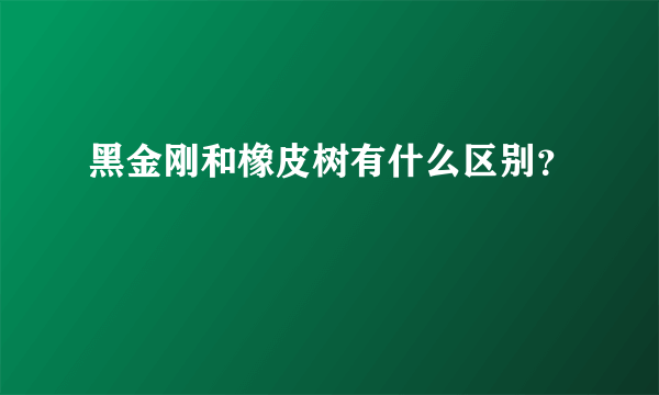 黑金刚和橡皮树有什么区别？