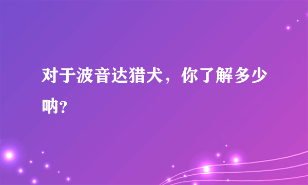 对于波音达猎犬，你了解多少呐？