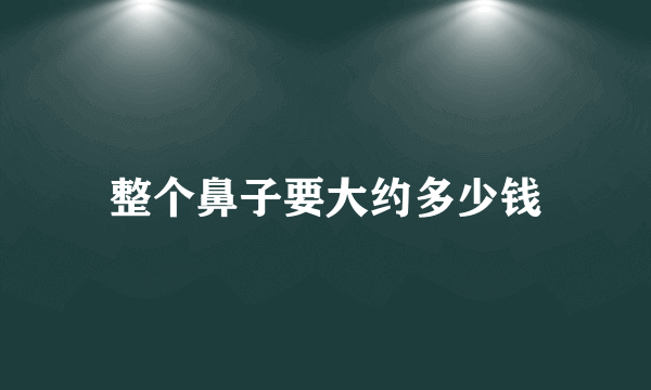 整个鼻子要大约多少钱