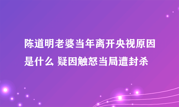 陈道明老婆当年离开央视原因是什么 疑因触怒当局遭封杀