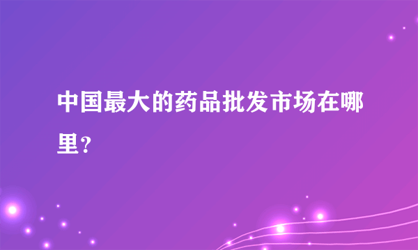 中国最大的药品批发市场在哪里？