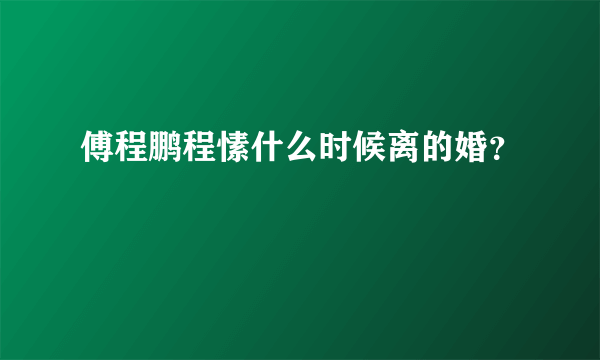 傅程鹏程愫什么时候离的婚？