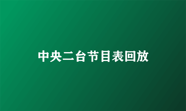 中央二台节目表回放