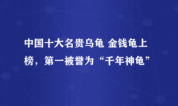 中国十大名贵乌龟 金钱龟上榜，第一被誉为“千年神龟”