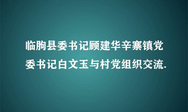 临朐县委书记顾建华辛寨镇党委书记白文玉与村党组织交流.