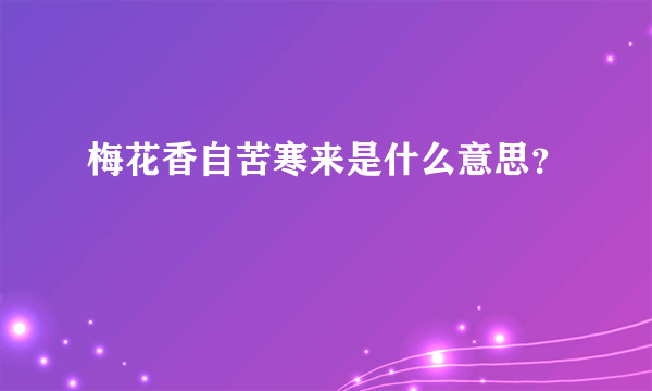 梅花香自苦寒来是什么意思？