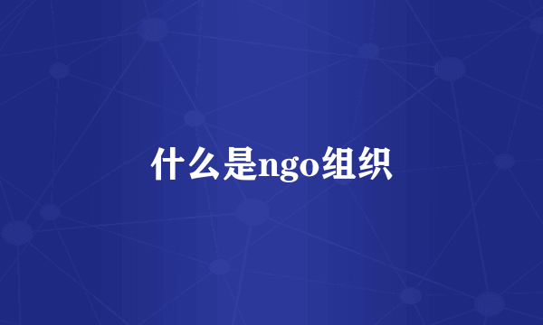 什么是ngo组织