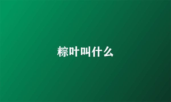 粽叶叫什么