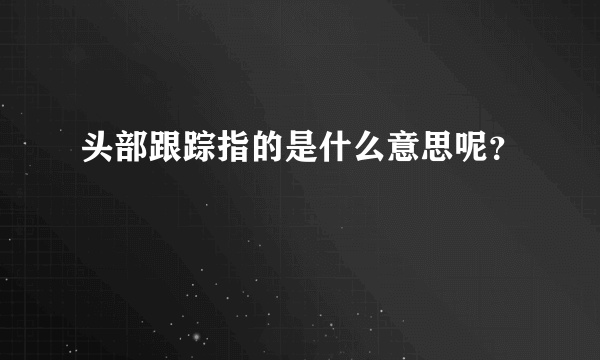 头部跟踪指的是什么意思呢？