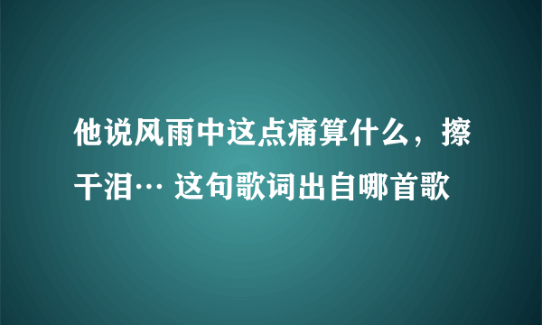 他说风雨中这点痛算什么，擦干泪… 这句歌词出自哪首歌