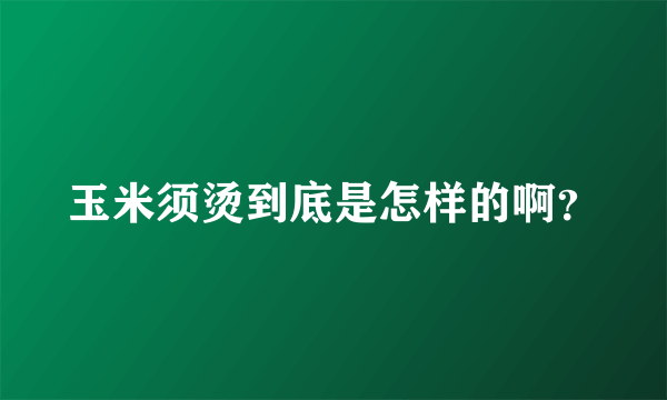 玉米须烫到底是怎样的啊？