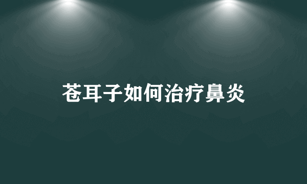 苍耳子如何治疗鼻炎