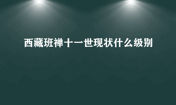 西藏班禅十一世现状什么级别