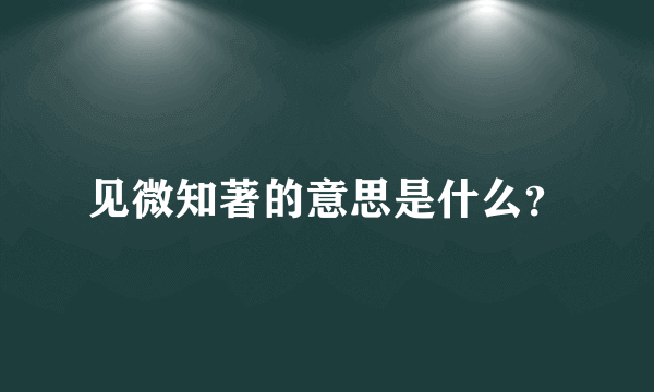 见微知著的意思是什么？