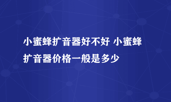 小蜜蜂扩音器好不好 小蜜蜂扩音器价格一般是多少