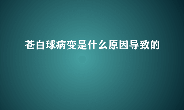 苍白球病变是什么原因导致的