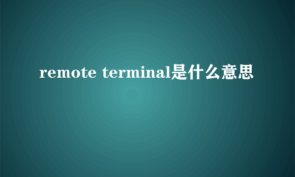 remote terminal是什么意思