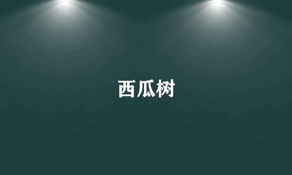 西瓜树