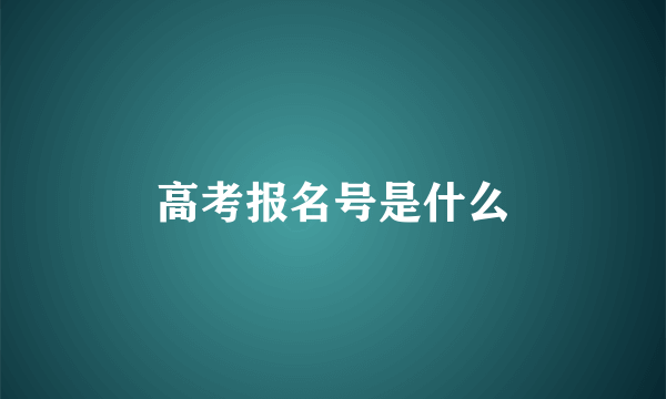 高考报名号是什么