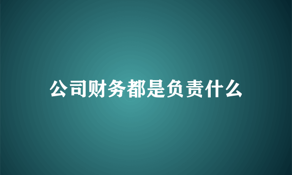 公司财务都是负责什么