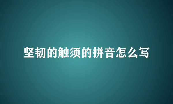 坚韧的触须的拼音怎么写