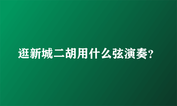 逛新城二胡用什么弦演奏？