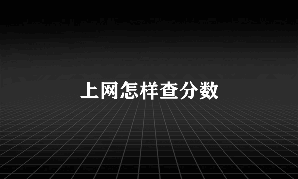 上网怎样查分数